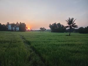 Ancient Village