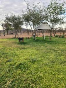 Ansta Farmhouse Self Catering Camping Nursery