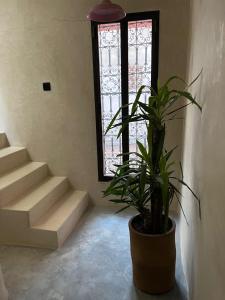 Dar Alma Modernist Designer Riad with Pool