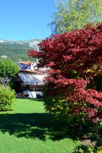B&B La Betulla