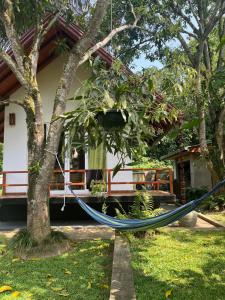 Kurumba Luxury Cabin