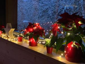 Chalets Hissala, vue lac et sauna