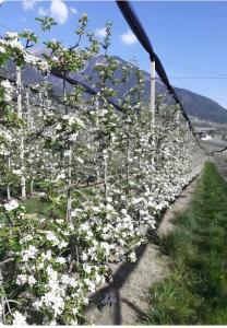 Ferienwohnungen Lindebauer