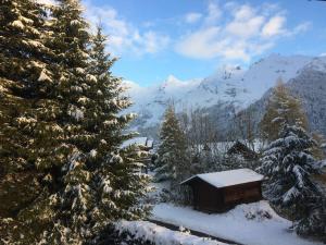 Chalet Le Chavan with magnificent view 6-8 people