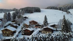 Chalet Le Chavan with magnificent view 6-8 people