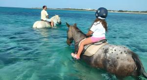 Areon - Central Coastal Residence