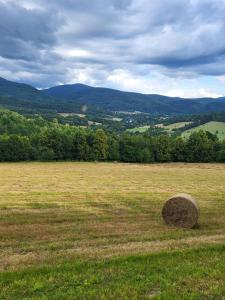 Apartament Różane Wzgórze