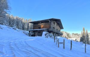 Chalet Le Belvédère, vue exceptionnelle dans les Hautes Vosges