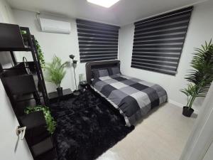 신규 오픈-고급 감성 쓰리룸, 객실별 특색