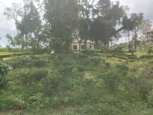 Sembuwatta Lake Polo Bungalow