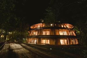 Huilo Huilo Reino Fungi