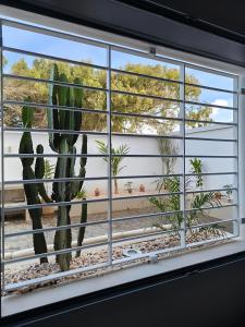 Desert Home II Essaouira