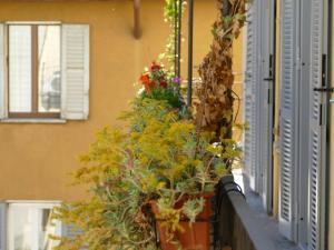 Nonna Nilla, a large and cozy flat in Porta Venezia