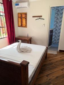 Mangi Mangi Accomodation