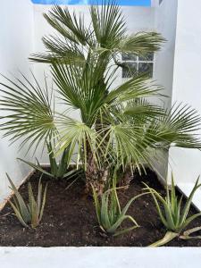 Résidence Ghita La terrasse