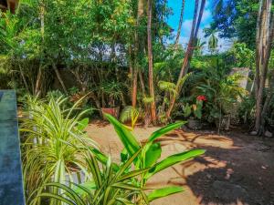 White Villa - Homestay