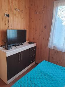 Cabaña en Playa Puerto Nuevo, Lago del Ranco