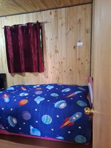 Cabaña en Playa Puerto Nuevo, Lago del Ranco