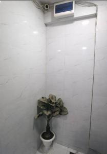 Patels Guest House