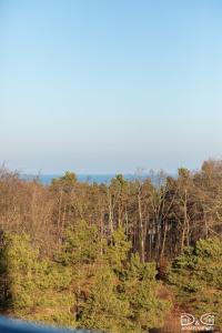 Rybka Aquamarina Onyx D&D Apartments