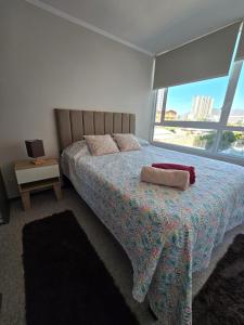 Espléndido Departamento Rancagua centro con Parking y wifi