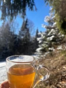 Apartment Alex Ski Parkplatz Winterurlaub