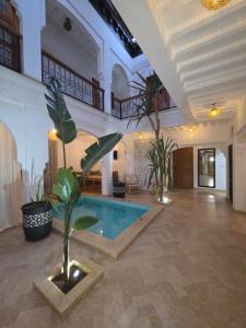 Riad Amanar
