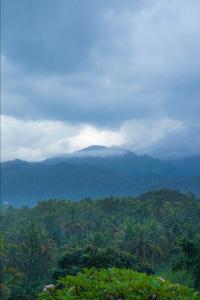 Villa Subashri, Victoria Golf Greens - Digana