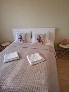 Silver Vytauto Apartments