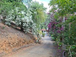 Sítio Guadalupe Refuge, Paz, ar puro e Natureza