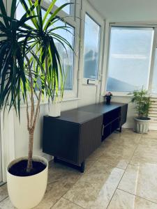 Near Station - Spacious 4-Bed Home with Parking