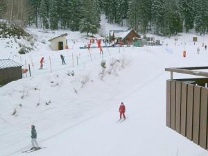 Appartement 2 pièces cabine au pied des pistes, balcon, non-fumeur - FR-1-557-48