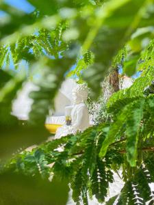 The Eco Palace Hostel