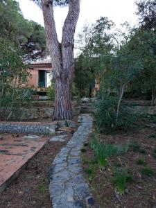 Villa vista mare