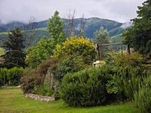 Suite de Lujo Castañitas