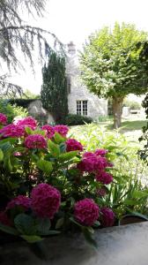 Maisons d'hotes Relais De La Haute Pommeraye : photos des chambres