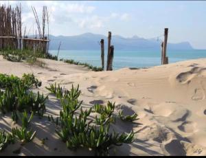 Stella a 3 minuti dal mare e a 30 Min from San Vito