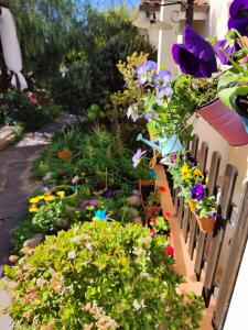 La Pirata Capitana img89