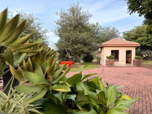 My Africa Adventure Farm