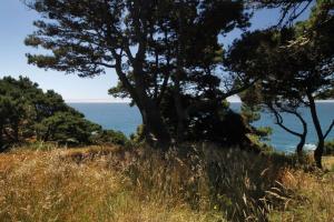 Ocean Bluff Serenity