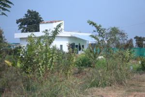 BeeCare Life Syntropic Farm - Nature-inspired sanctuary