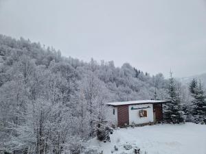 Chalet Glasul Padurii