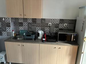 Hosting in the center of Florina