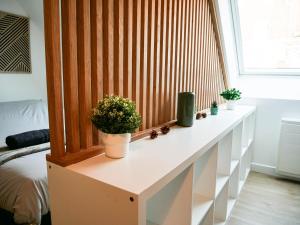 Le Forestier - Hypercentre - Garage