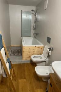 Apartment Wohnung Pra dSura 221 by Interhome