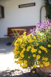 Apartment Sunnebüchel by Interhome