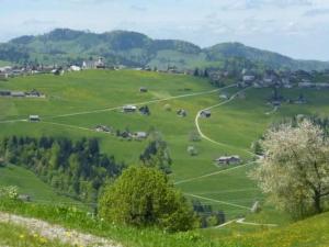 Apartment Ferienhof-Barenegg by Interhome