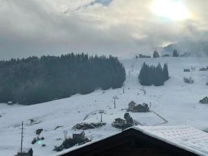 Apartment Friedegg by Interhome