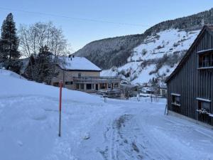 Apartment Terrasse & Pistenähe by Interhome