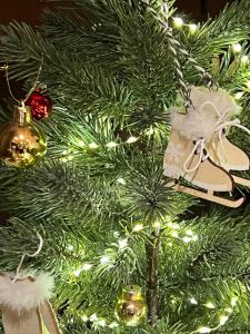 LA VARNACHE logement cosy